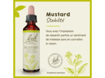 FLEUR BACH MUSTARD GTT FL20ML