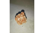 Aragonite 34g