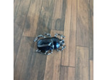 Broche scarabée