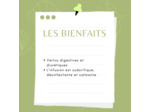 CITRONNELLE - Feuille coupée