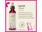 FLEUR BACH LARCH GTT FL20ML