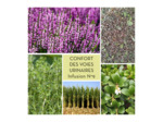 CONFORT DES VOIES URINAIRES - Infusion N°9