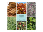 JAMBES LEGERES - Infusion N°8