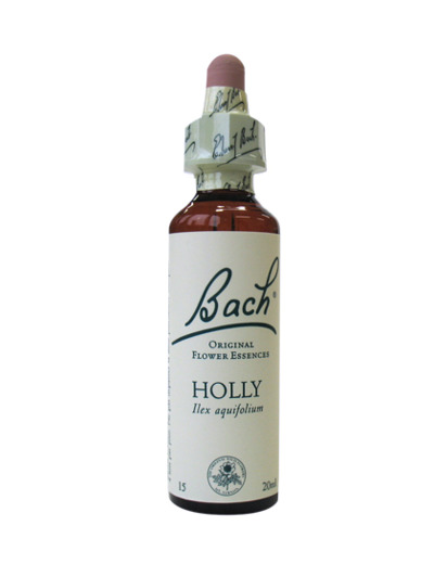 FLEUR BACH HOLLY GTT FL20ML