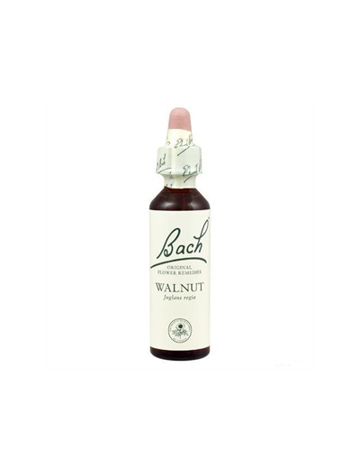 FLEUR BACH WALNUT GTT FL20ML