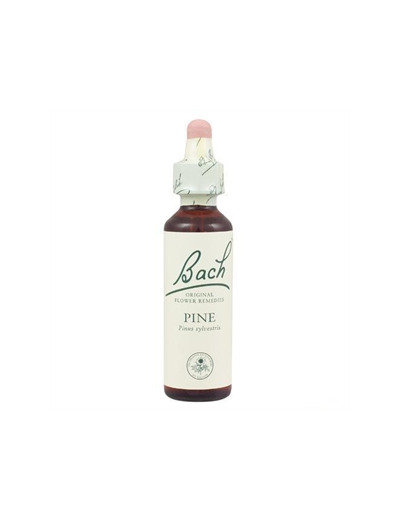 FLEUR BACH PINE GTT FL20ML