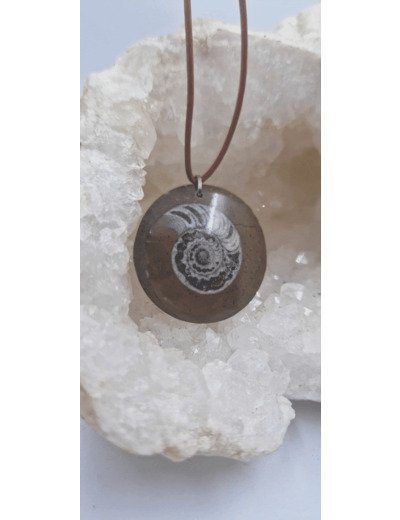 Pendentif hamonite fossile avec cordon olpa2428