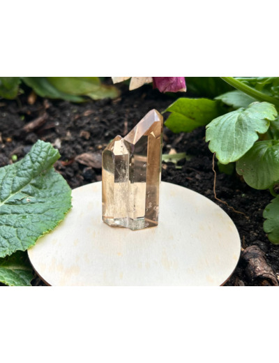 POINTES CITRINE NATURELLE