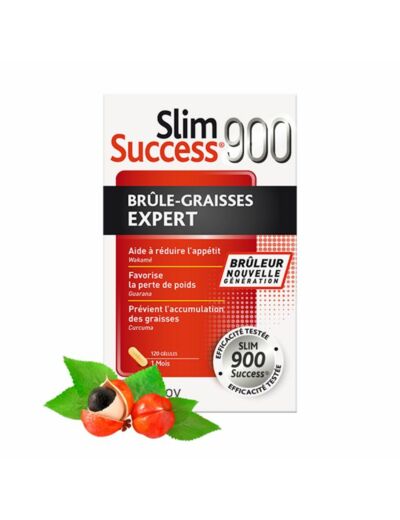 Brule Graisses 120 Gelules Slim Success 900 Nutreov