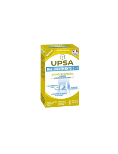 UPSA BALLONNEMENT 3EN1