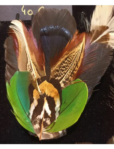 broche  barrette en plumes