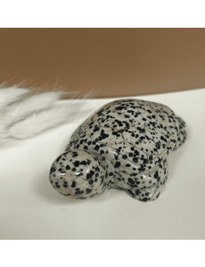 TORTUE EN JASPE DALMATIEN