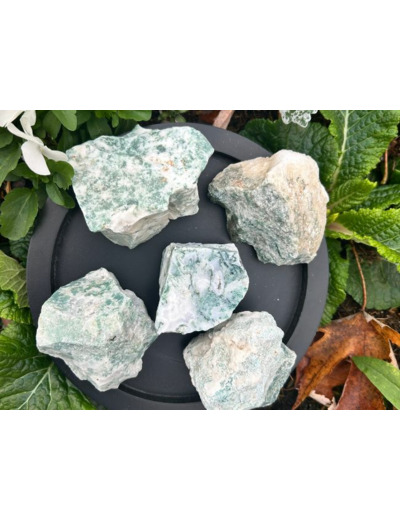 PIERRE BRUTE AGATE ARBRE