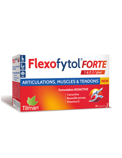 FLEXOFYTOL FORTE  B/28