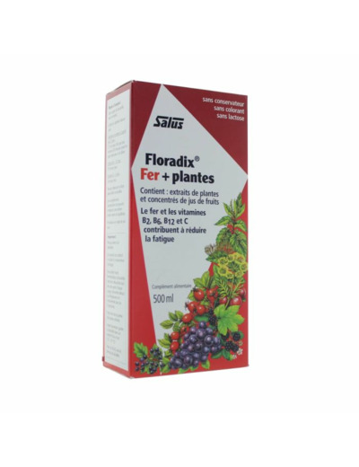 FLORADIX FERPLANT BOISS 500ML