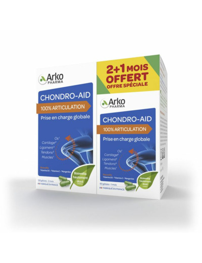 CHONDRO AID ARTI 12060