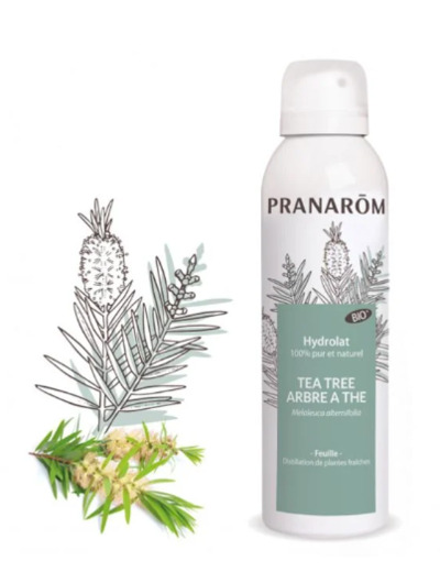 TEA TREE ou ARBRE A THE BIO 150ml Les Hydrolats Pranarôm