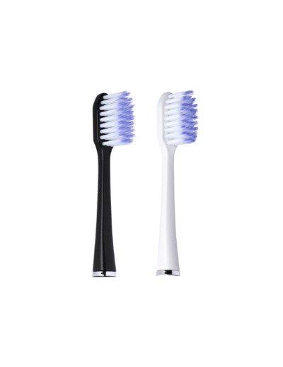Recharges Brosse à Dents Noire x2 Sonic Daily Gum