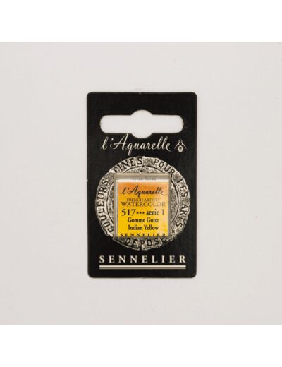 Peinture Aquarelle Extra-Fine Sennelier, 517 Gomme Gutte S1