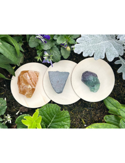 KIT RÉVISIONS & FOCUS