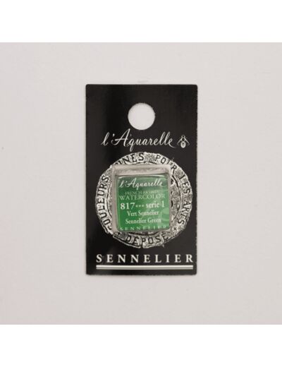 Peinture Aquarelle Extra-Fine Sennelier, 817 Vert Sennelier S1