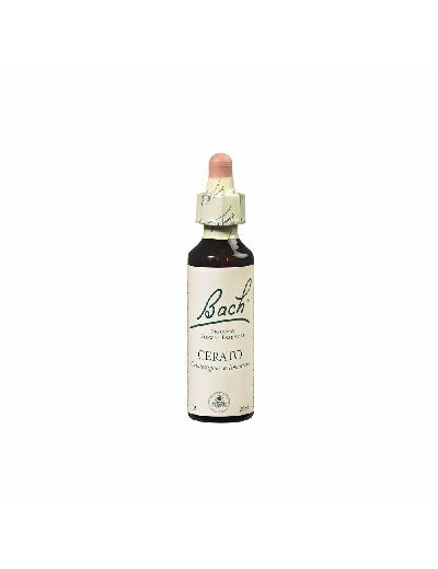 FLEUR BACH CERATO GTT FL20ML