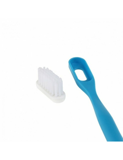 Recharge De 3 Tetes Brosses A Dents Medium Lamazuna