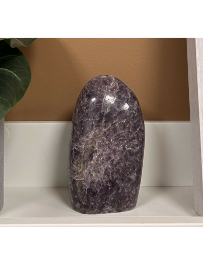 FORME LEPIDOLITE