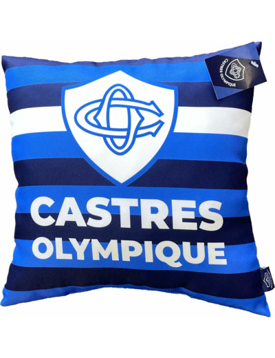 COUSSIN RAYURES23