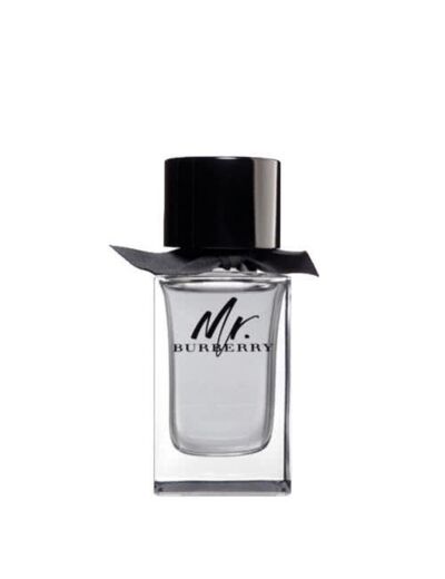 MISTER BURBERRY ET Vaporisateur 100ml