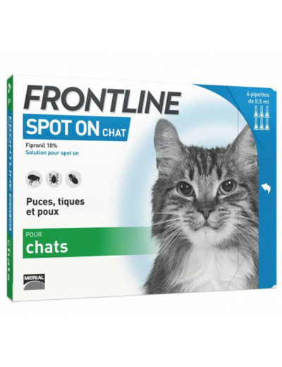 FRONTLINE CHAT 6PIP