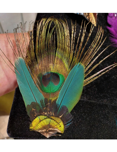 broche barrette en plumes