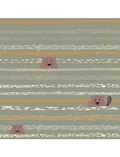 Tissu popeline de coton Beaver Tooth & Trees - Katia Fabrics