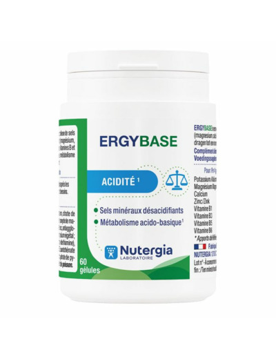 ERGYBASE BTE60