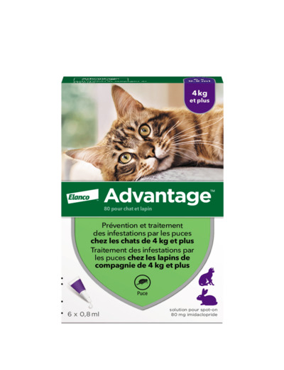 ADVANTAGE 80 CHA/LAPIN 6