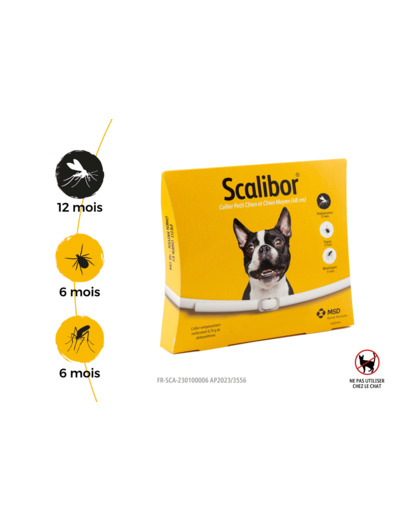 SCALIBOR P/M CHIEN COLLIE