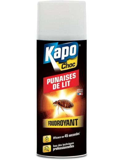 Aérosol punaise de lit foudroyant - 400 mL