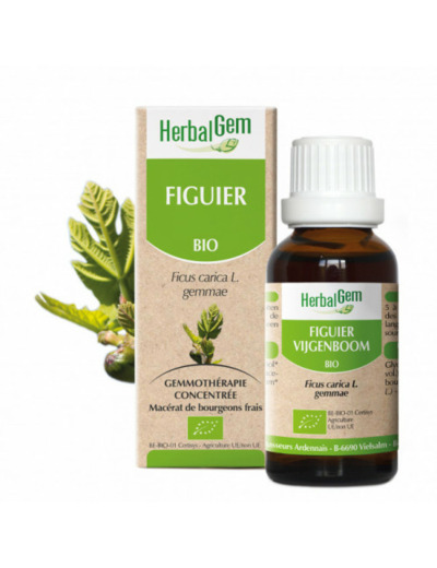HERBALGEM FIGUIER 30ML