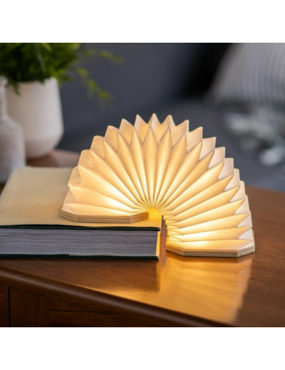 Smart Accordion Lamp