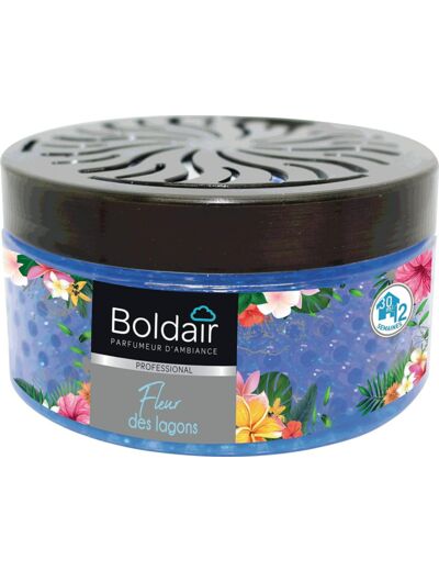 Boldair Perles parfumantes Fleur des Lagons - 300 g
