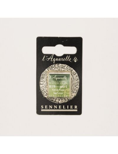 Peinture Aquarelle Extra-Fine Sennelier, 819 Vert de Vessie S1