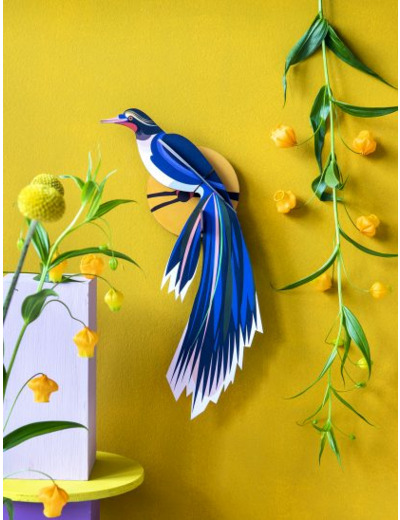 Oiseau FLORES