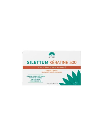 SILETTUM KERATINE 500 B/40