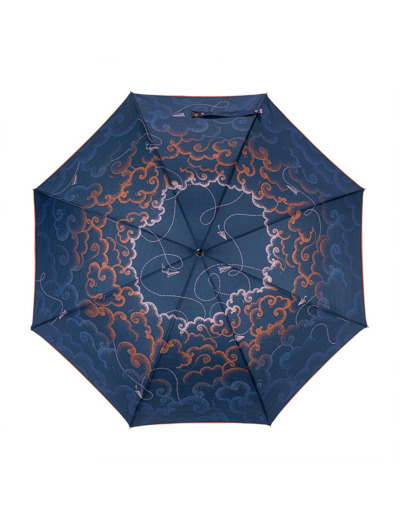Piganiol Skyline Parapluie Droit Canne Skyline