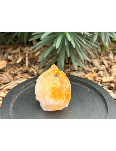 POINTE DE CITRINE BRUTE